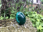 Polished Rare Extra Large Flower Banded Malachite Egg x 1 From Congo