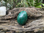 Polished Rare Extra Large Flower Banded Malachite Egg x 1 From Congo