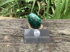 Polished Rare Extra Large Flower Banded Malachite Egg x 1 From Congo