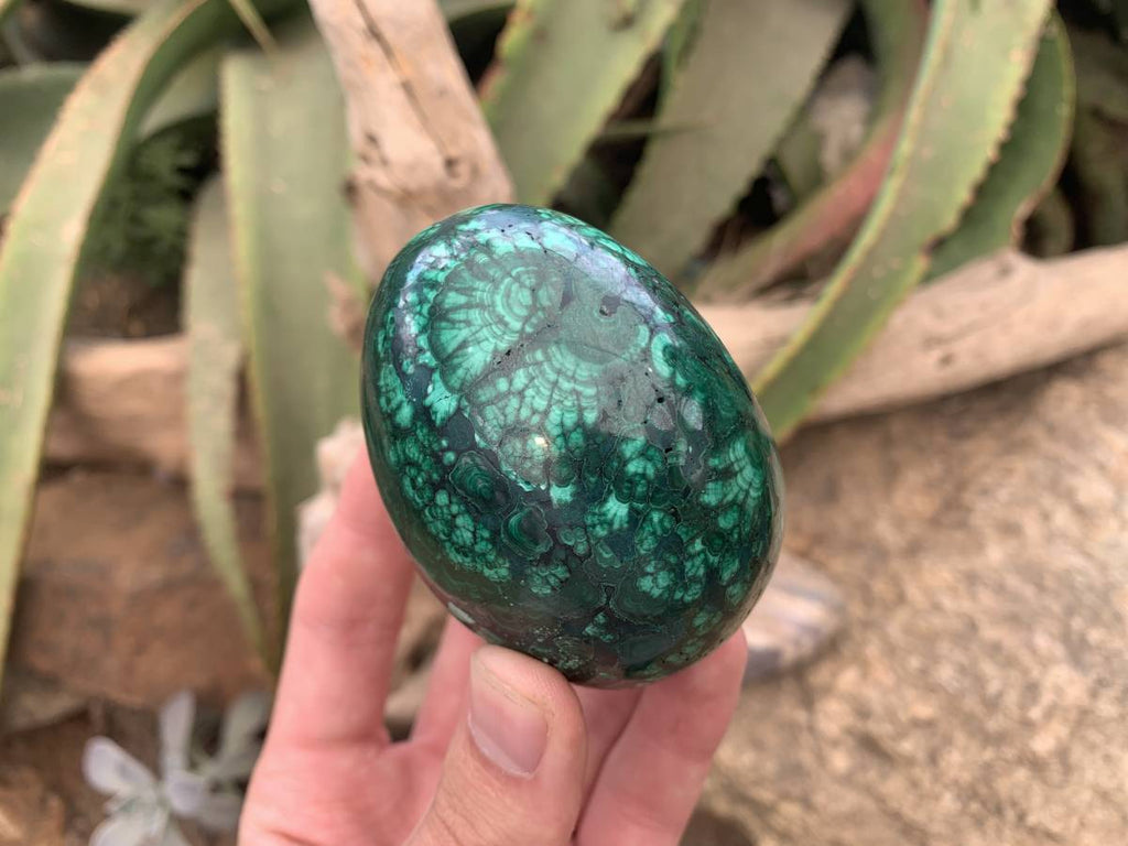 Polished Rare Extra Large Flower Banded Malachite Egg x 1 From Congo