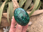 Polished Rare Extra Large Flower Banded Malachite Egg x 1 From Congo