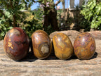 Polished Banded Iron Jasper Egg x 1 From Prieska, South Africa