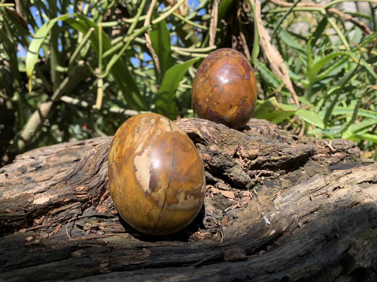 Polished Banded Iron Jasper Egg x 1 From Prieska, South Africa