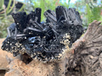 Natural Schorl Black Tourmaline Specimen x 1 From Erongo, Namibia