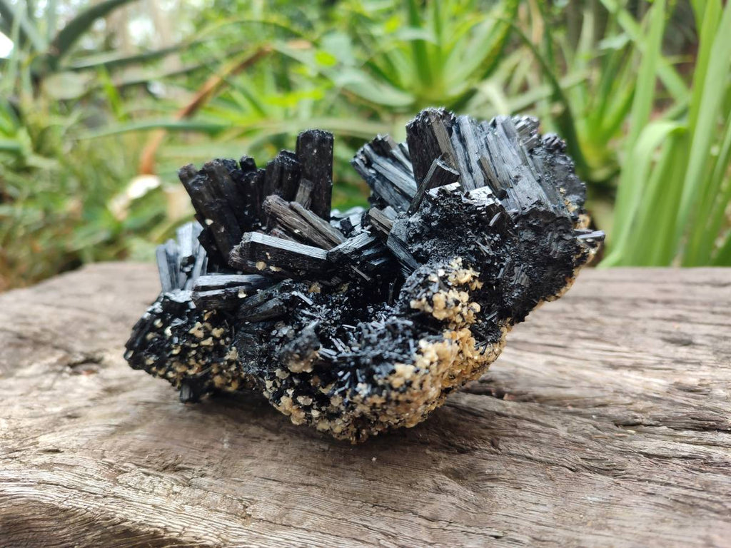 Natural Schorl Black Tourmaline Specimen x 1 From Erongo, Namibia