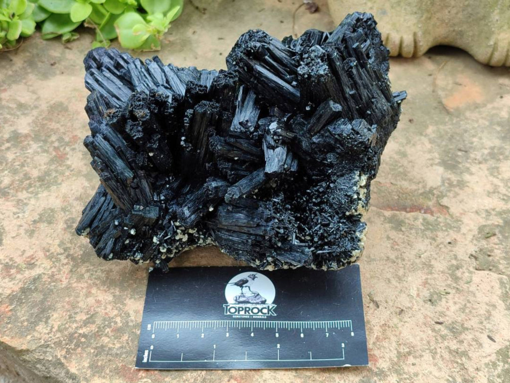 Natural Schorl Black Tourmaline Specimen x 1 From Erongo, Namibia