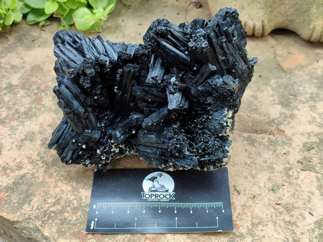 Natural Schorl Black Tourmaline Specimen x 1 From Erongo, Namibia