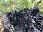Natural Schorl Black Tourmaline Specimen x 1 From Erongo, Namibia