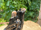 Natural Schorl Black Tourmaline Specimen with Fluorescent Hyalite Capping x 1 From Erongo, Namibia