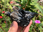 Natural Schorl Black Tourmaline Specimen with Fluorescent Hyalite Capping x 1 From Erongo, Namibia