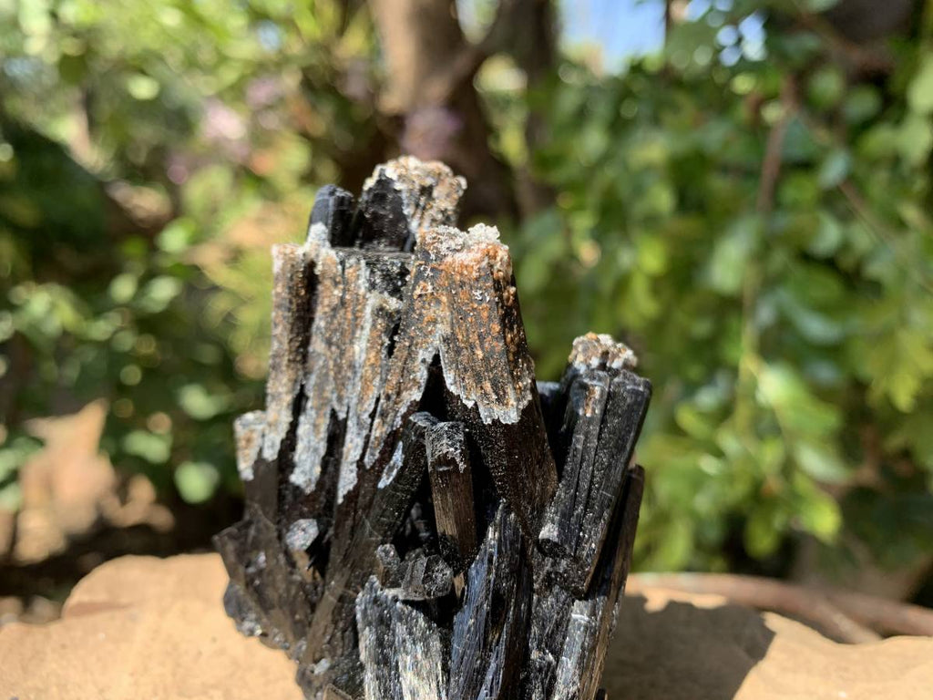 Natural Schorl Black Tourmaline Specimen with Fluorescent Hyalite Capping x 1 From Erongo, Namibia
