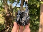 Natural Schorl Black Tourmaline Specimen with Fluorescent Hyalite Capping x 1 From Erongo, Namibia