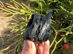 Natural Schorl Black Tourmaline Specimen with Fluorescent Hyalite Capping x 1 From Erongo, Namibia