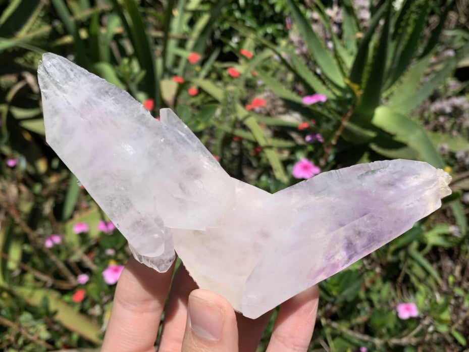 Natural Multi-Terminated L-Shaped Brandberg Amethyst Floater Crystal x 1 From Brandberg, Namibia