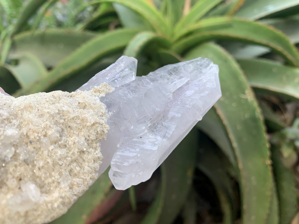Natural Multi-Terminated L-Shaped Brandberg Amethyst Floater Crystal x 1 From Brandberg, Namibia
