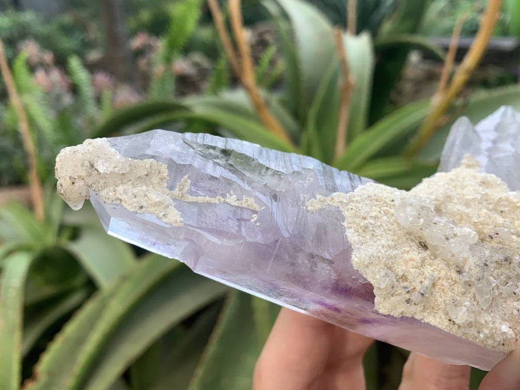 Natural Multi-Terminated L-Shaped Brandberg Amethyst Floater Crystal x 1 From Brandberg, Namibia