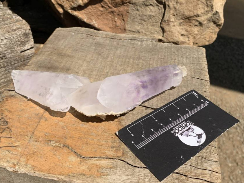 Natural Multi-Terminated L-Shaped Brandberg Amethyst Floater Crystal x 1 From Brandberg, Namibia