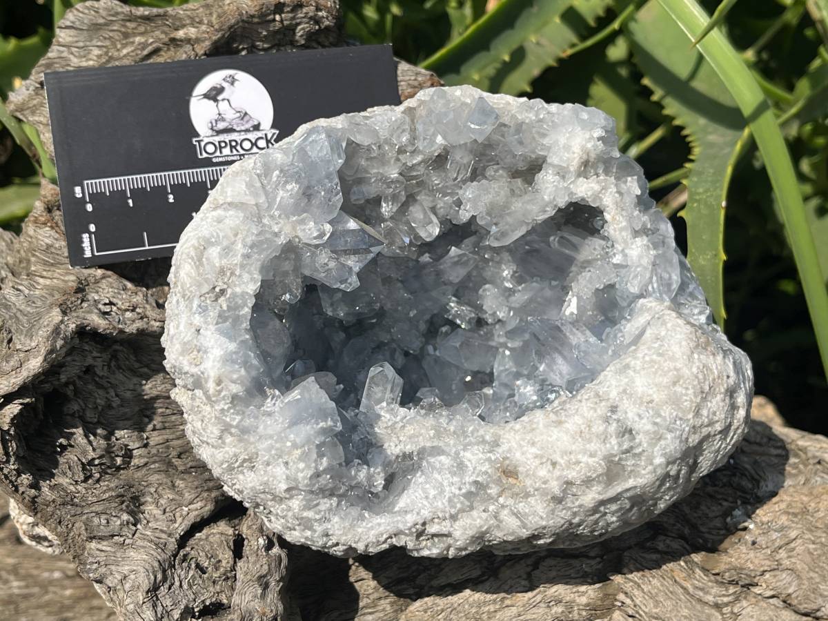 Natural Acicular Celestite Geode x 1 From Sakoany, Madagascar