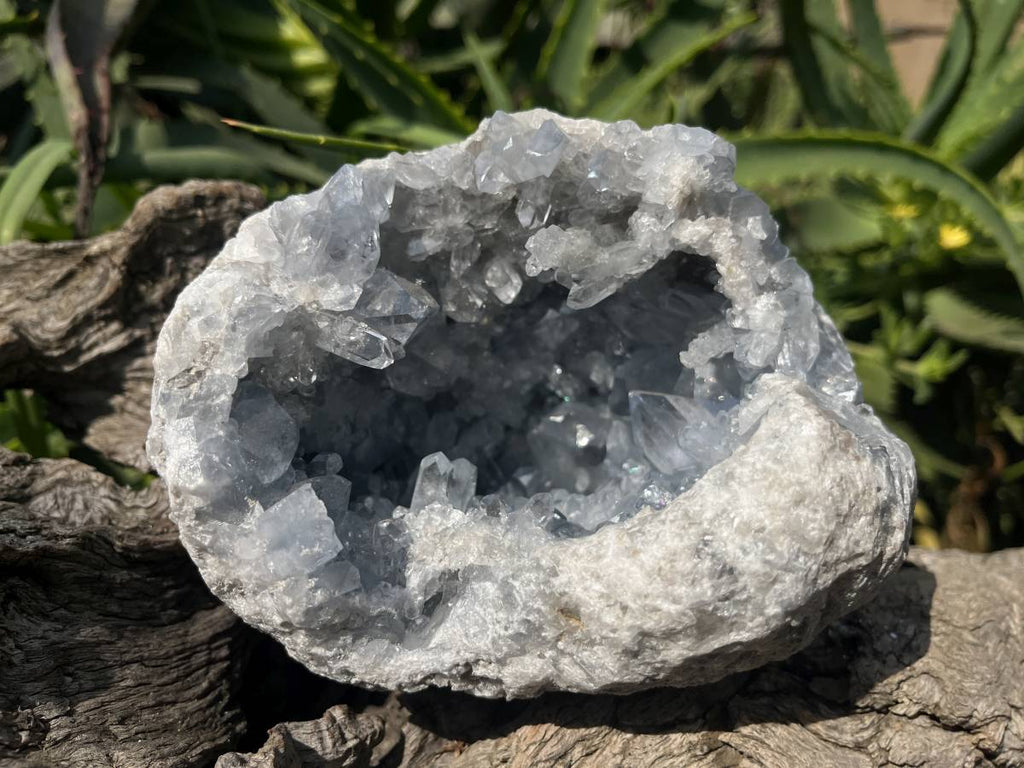 Natural Acicular Celestite Geode x 1 From Sakoany, Madagascar