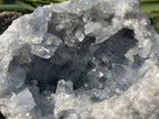 Natural Acicular Celestite Geode x 1 From Sakoany, Madagascar