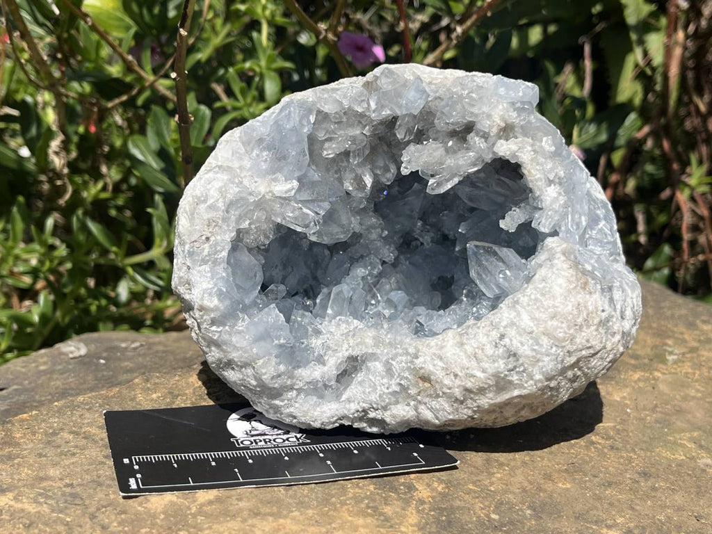 Natural Acicular Celestite Geode x 1 From Sakoany, Madagascar