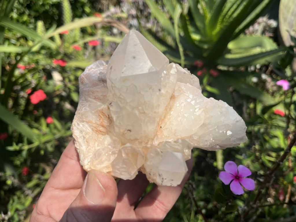 Natural XL Extremely Rare Hollandite Star Quartz Cluster x 1 From Ambositra, Madagascar