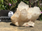 Natural XL Extremely Rare Hollandite Star Quartz Cluster x 1 From Ambositra, Madagascar