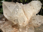 Natural XL Extremely Rare Hollandite Star Quartz Cluster x 1 From Ambositra, Madagascar