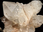 Natural XL Extremely Rare Hollandite Star Quartz Cluster x 1 From Ambositra, Madagascar