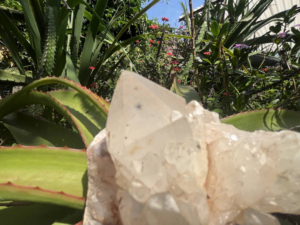 Natural XL Extremely Rare Hollandite Star Quartz Cluster x 1 From Ambositra, Madagascar