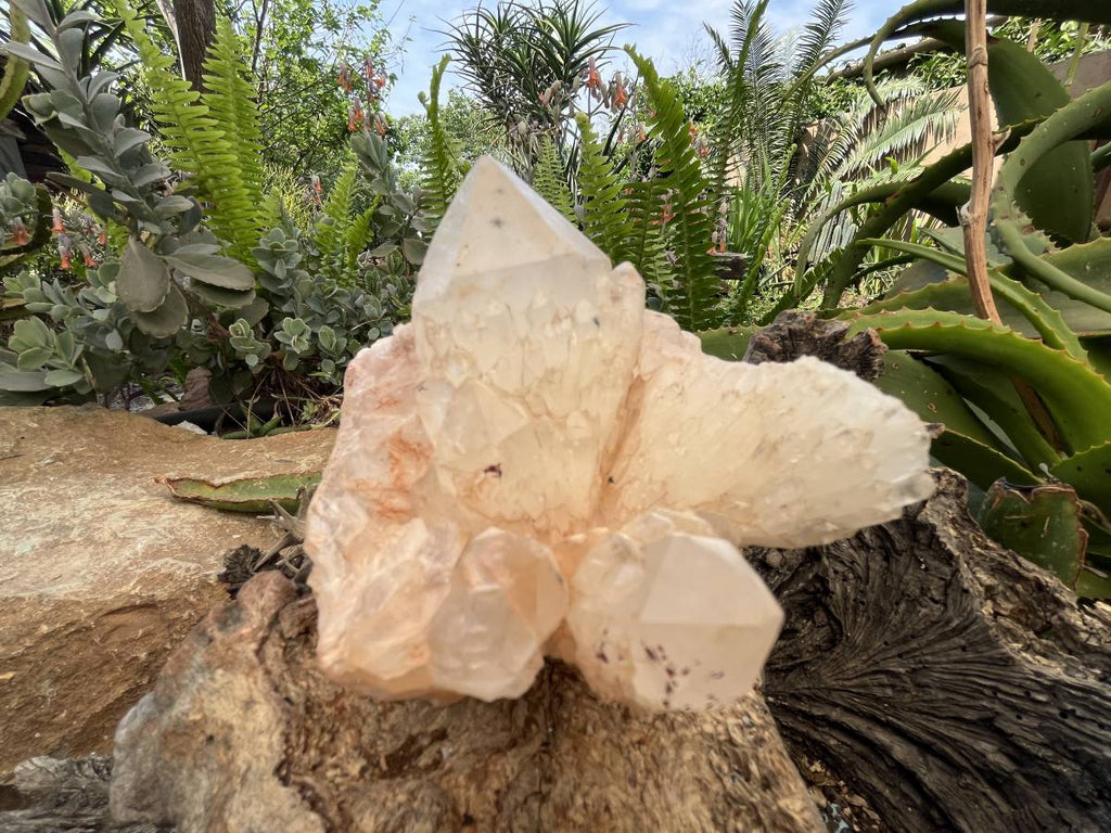 Natural XL Extremely Rare Hollandite Star Quartz Cluster x 1 From Ambositra, Madagascar
