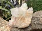 Natural XL Extremely Rare Hollandite Star Quartz Cluster x 1 From Ambositra, Madagascar