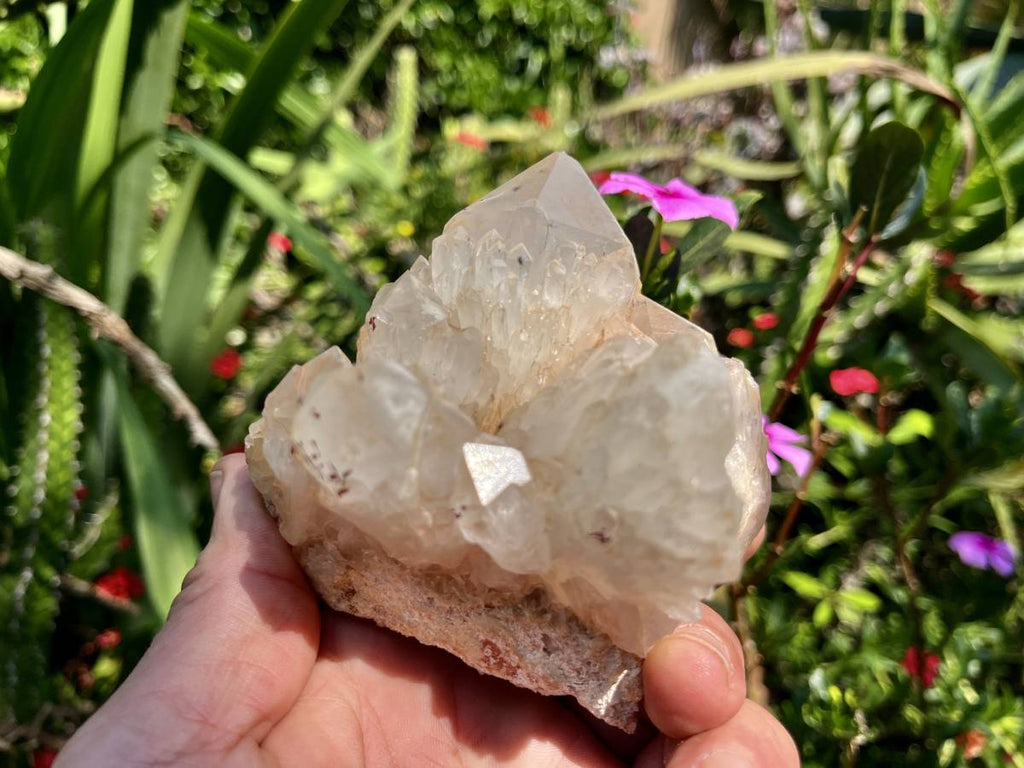 Natural XL Extremely Rare Hollandite Star Quartz Cluster x 1 From Ambositra, Madagascar