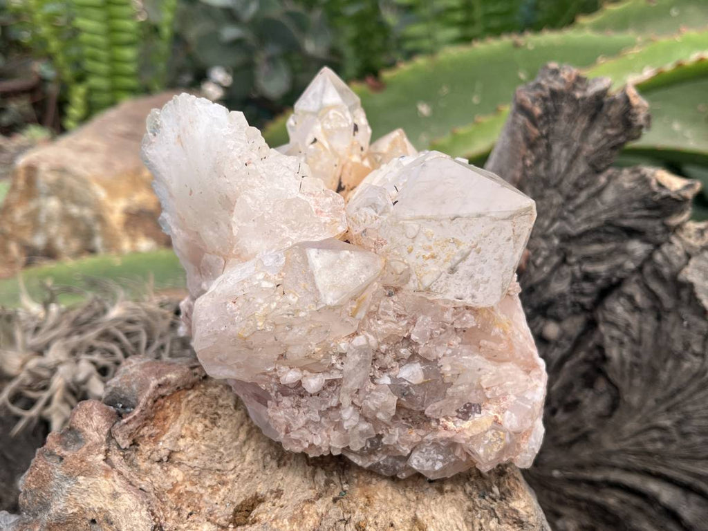 Natural XL Extremely Rare Hollandite Star Quartz Cluster x 1 From Ambositra, Madagascar