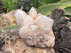Natural XL Extremely Rare Hollandite Star Quartz Cluster x 1 From Ambositra, Madagascar