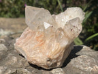Natural XL Extremely Rare Hollandite Star Quartz Cluster x 1 From Ambositra, Madagascar
