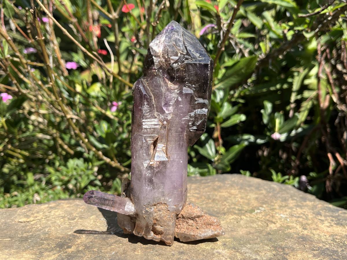 Natural XL Smokey Amethyst Window Quartz Scepter Crystal x 1 From Chiredzi, Zimbabwe