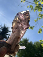 Natural XL Smokey Amethyst Window Quartz Scepter Crystal x 1 From Chiredzi, Zimbabwe