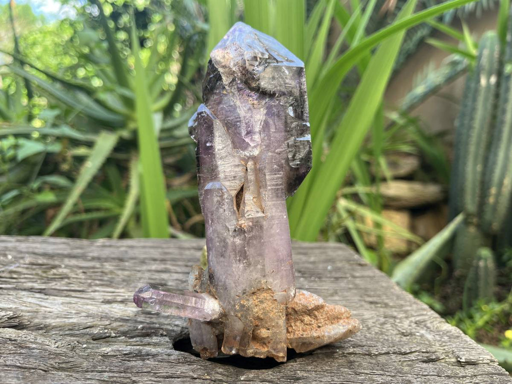 Natural XL Smokey Amethyst Window Quartz Scepter Crystal x 1 From Chiredzi, Zimbabwe