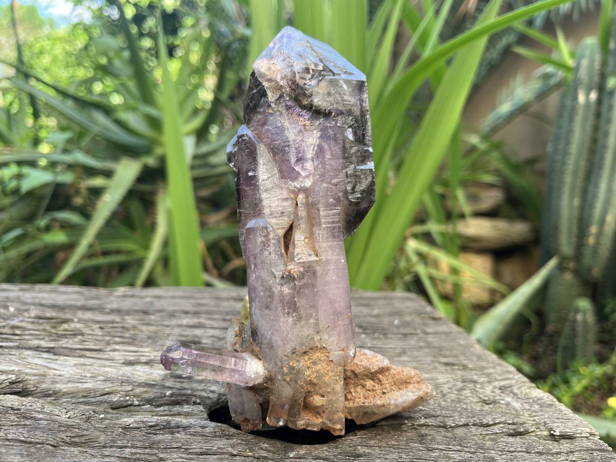 Natural XL Smokey Amethyst Window Quartz Scepter Crystal x 1 From Chiredzi, Zimbabwe