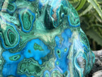 Polished Malacolla Plate x 1 From Kulukuluku, Congo
