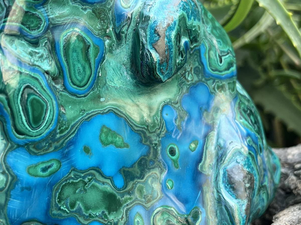 Polished Malacolla Plate x 1 From Kulukuluku, Congo