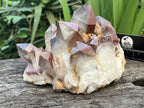 Natural XL Red Hematoid Quartz Crystal Cluster x 1 From Karoi, Zimbabwe