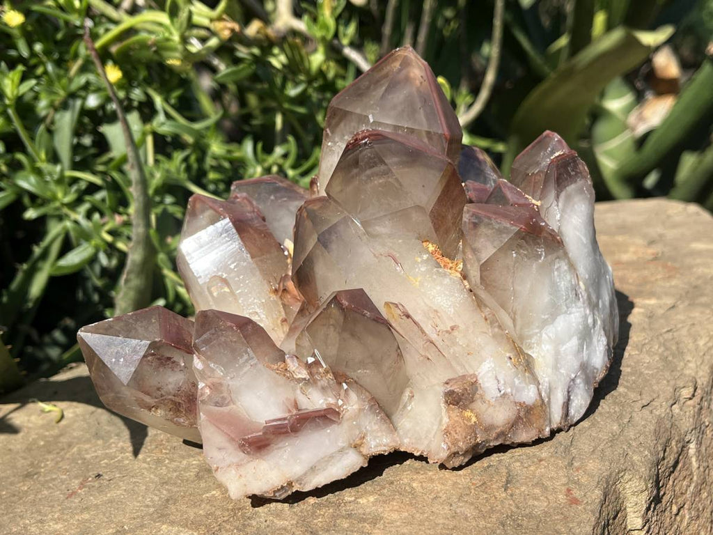 Natural XL Red Hematoid Quartz Crystal Cluster x 1 From Karoi, Zimbabwe