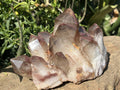 Natural XL Red Hematoid Quartz Crystal Cluster x 1 From Karoi, Zimbabwe