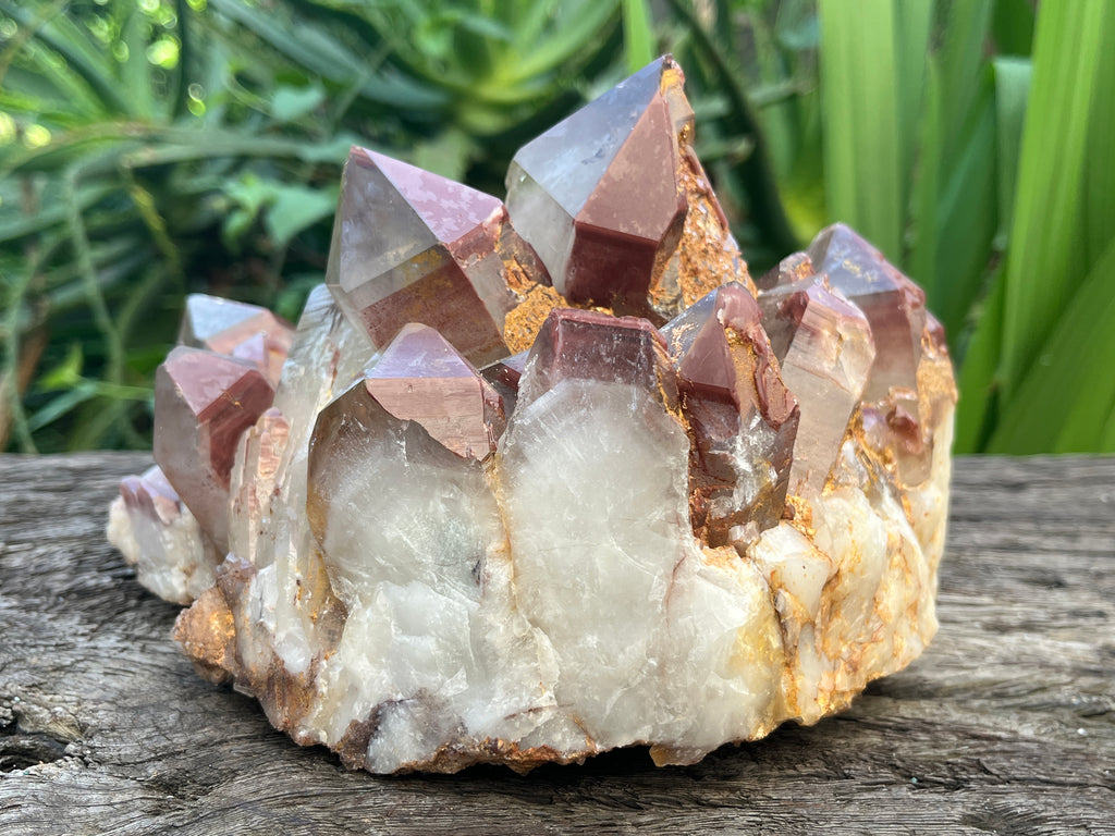 Natural XL Red Hematoid Quartz Crystal Cluster x 1 From Karoi, Zimbabwe