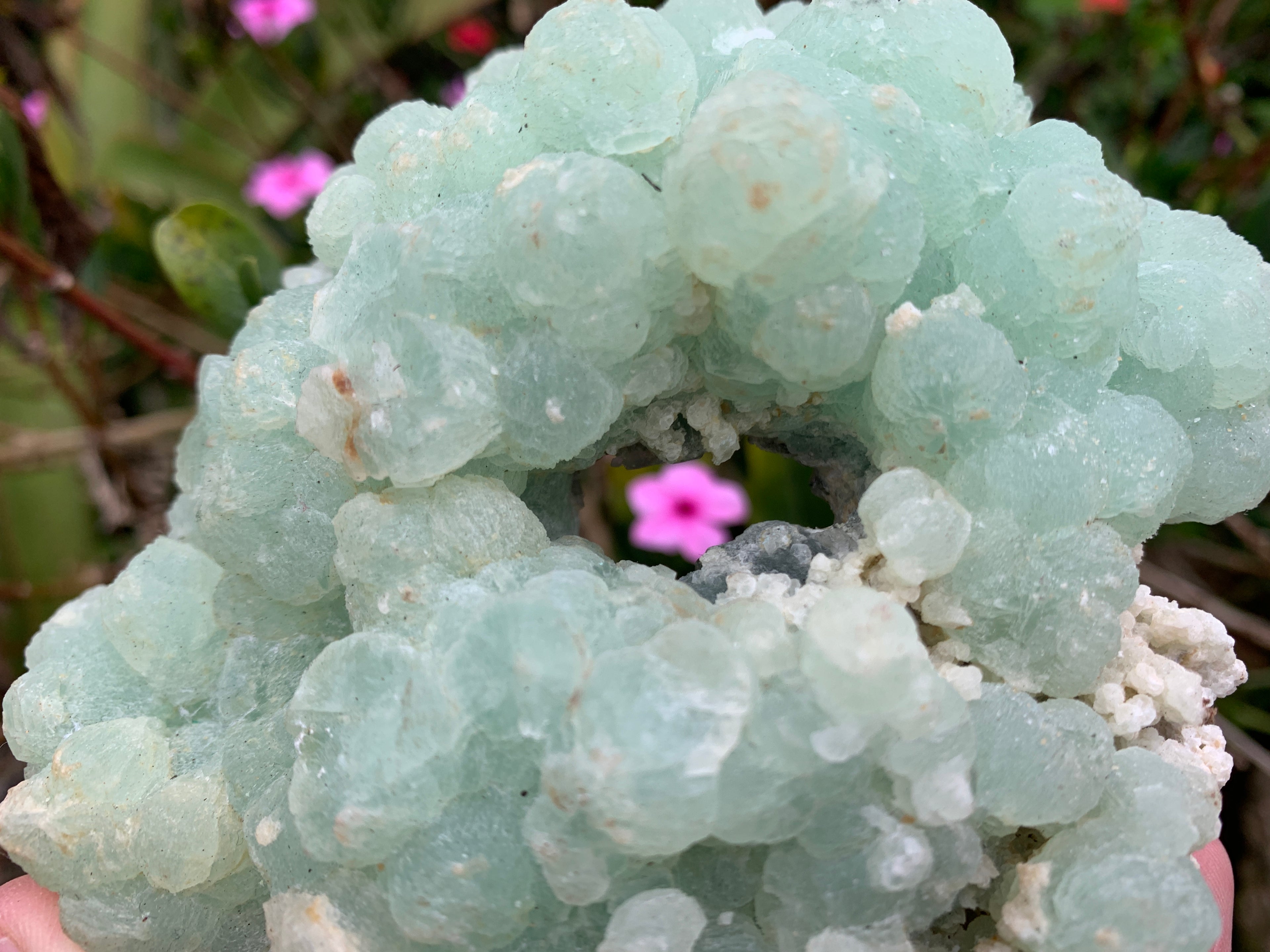 Natural Botryoidal Prehnite Specimen x 1 From Beaufort West, South Africa