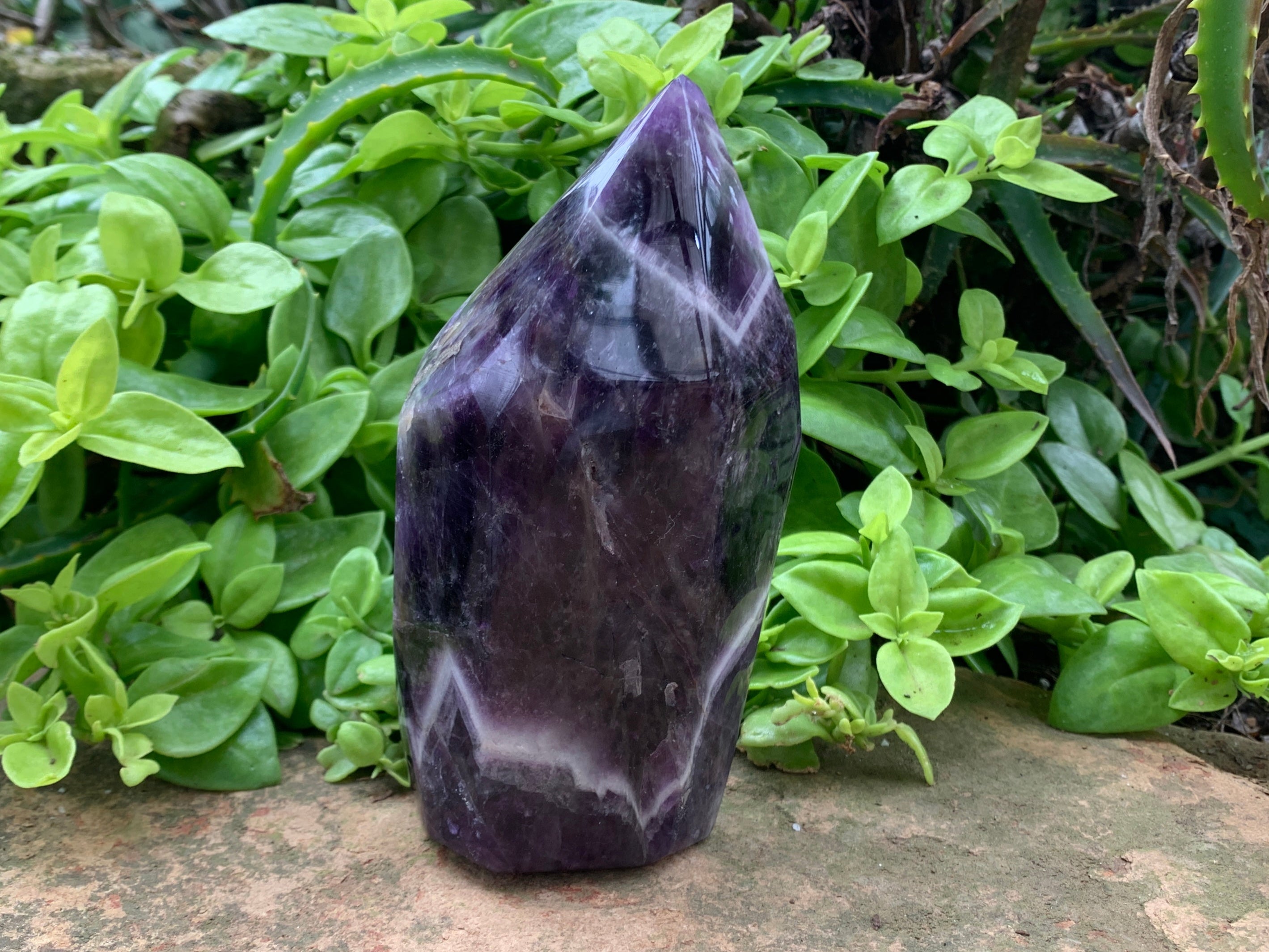 Polished Dark Chevron Amethyst Point x 1 From Zambia