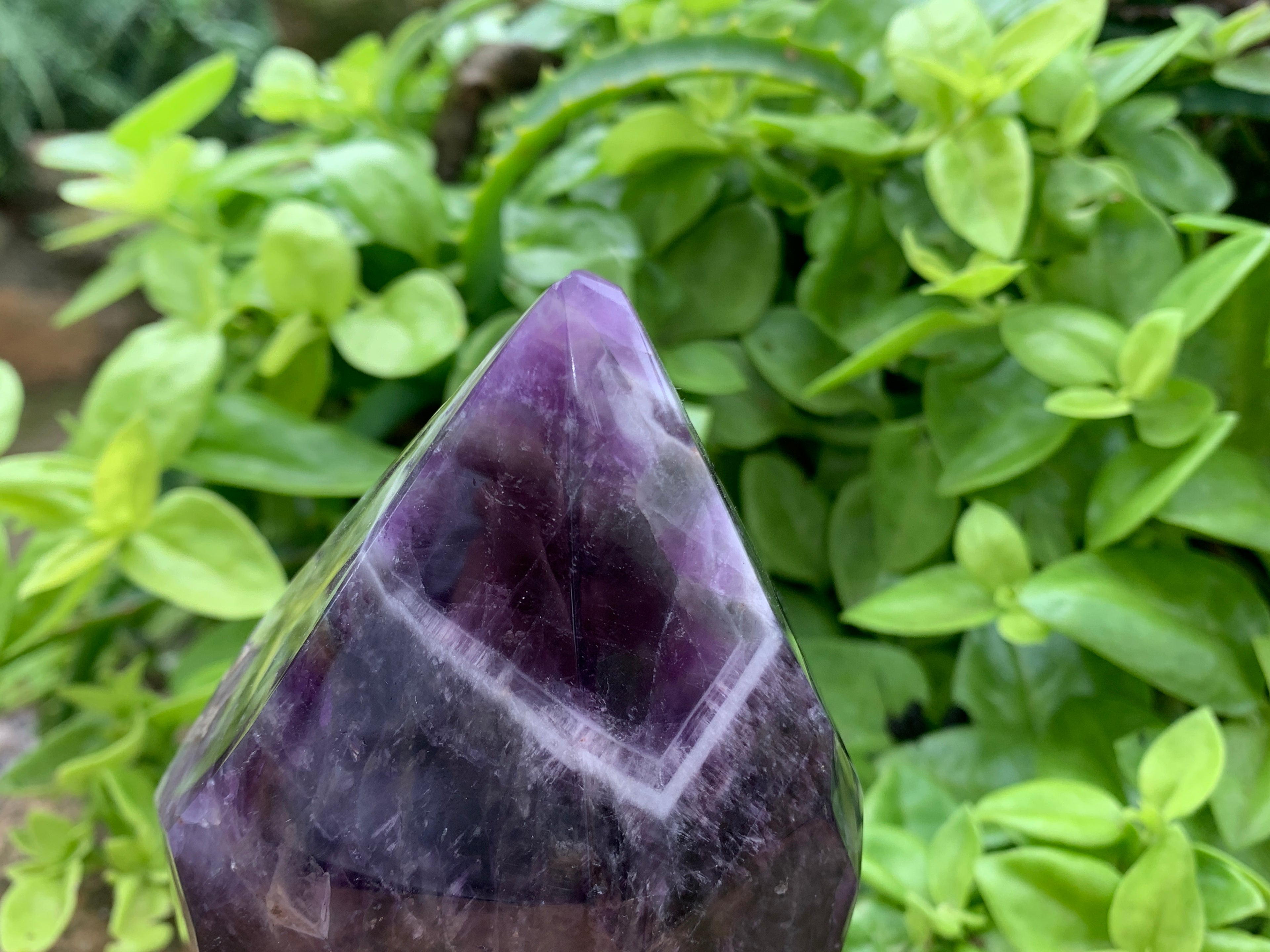 Polished Dark Chevron Amethyst Point x 1 From Zambia