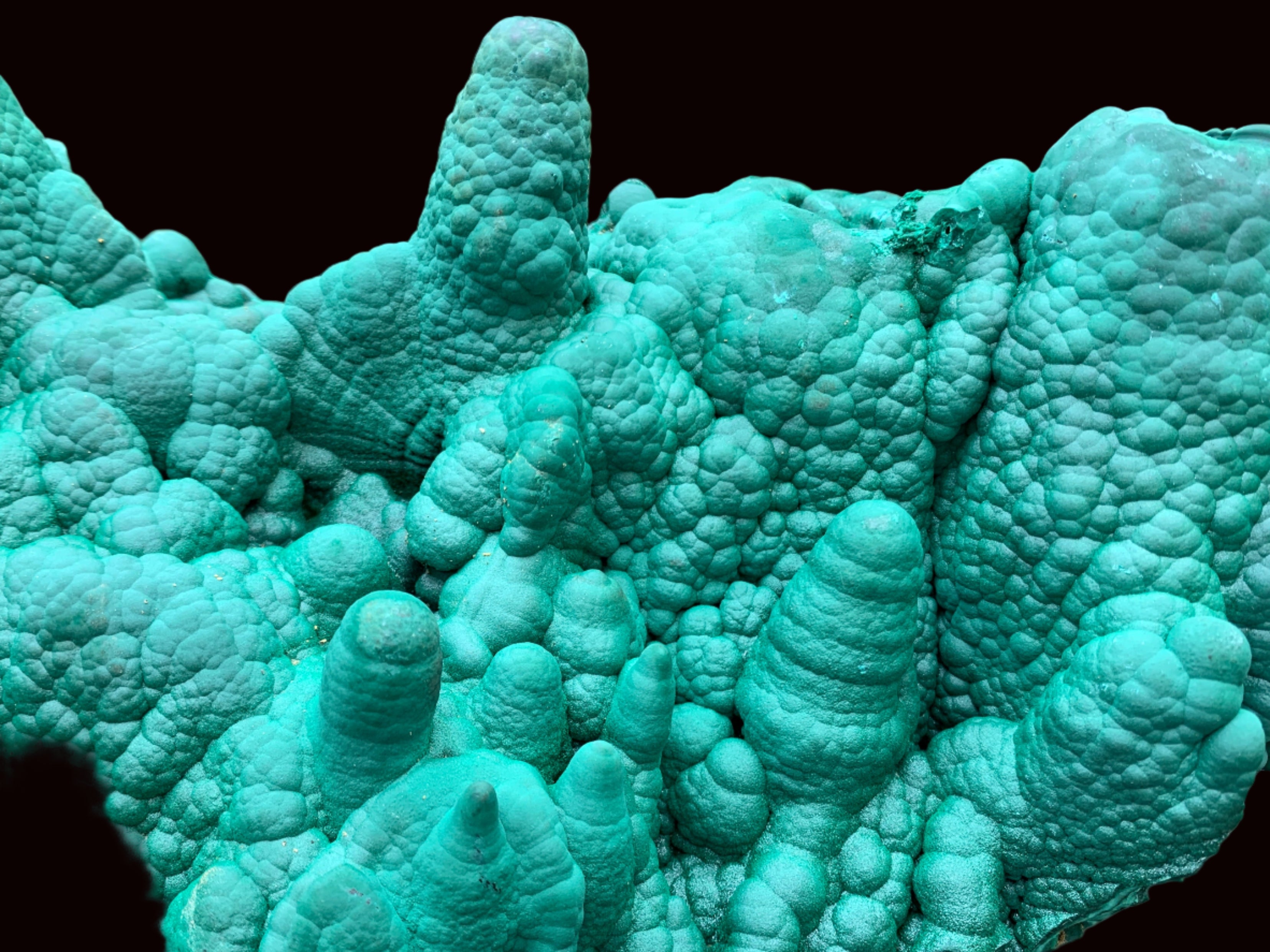 Natural Botryoidal Malachite Stalactite Specimen x 1 From Congo